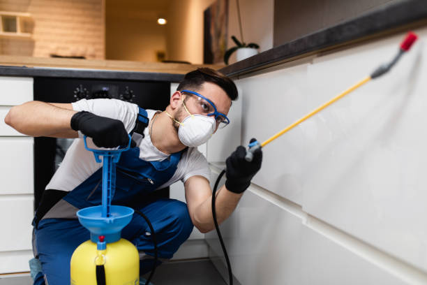 Best Best Pest Control Companies  in Kenilworth, NJ