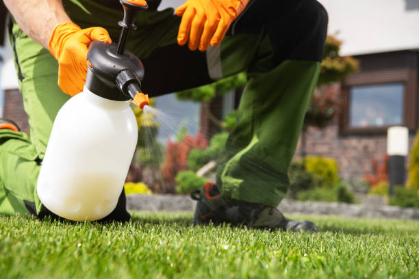 Reliable Kenilworth, NJ Pest Control Solutions
