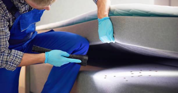 Best Bed Bug Extermination  in Kenilworth, NJ