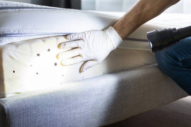 Best Rat Extermination Near Me  in Kenilworth, NJ